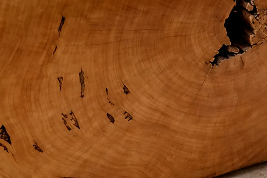 Madeira clara com nós e marcas naturais: textura que muda com a luz do dia (imagem ilustrativa)